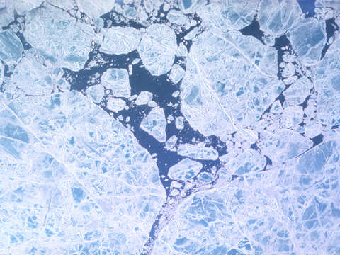 Polar ice cap 2