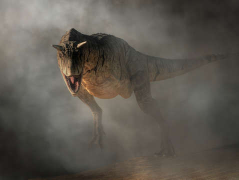 Carnotaurus emerging from fog