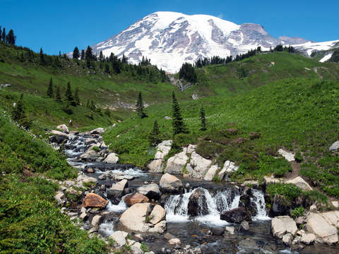 Mount rainier national park