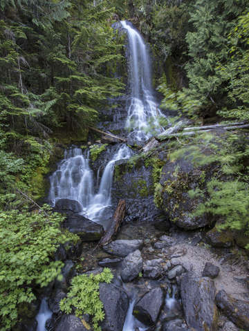 Fall creek falls rainier national park