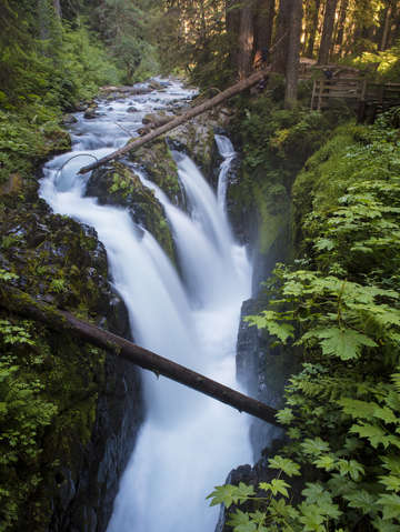 Sol duc falls