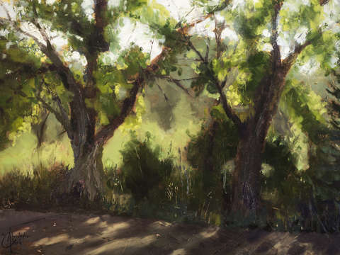 Plein air morning i