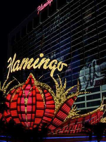 Vegas05