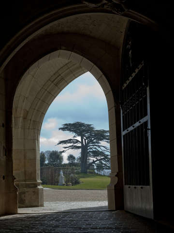 Chateau d'Amboise