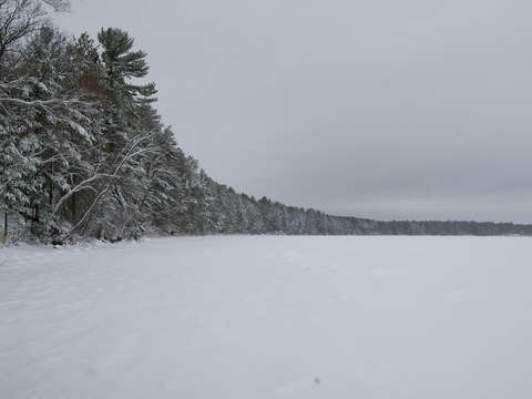 Winter on the lake