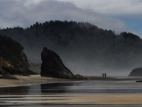 Into the fog