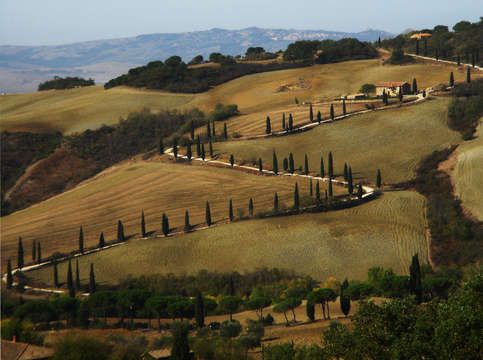 Long winding road