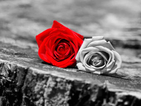 Red and white