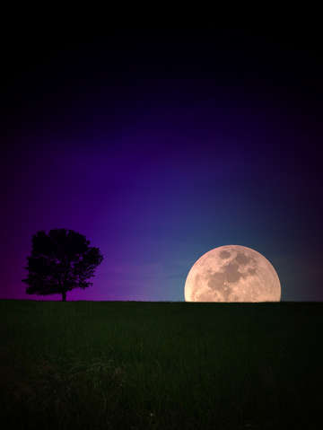 Perfect moon