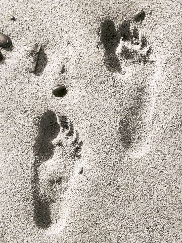Two right feet