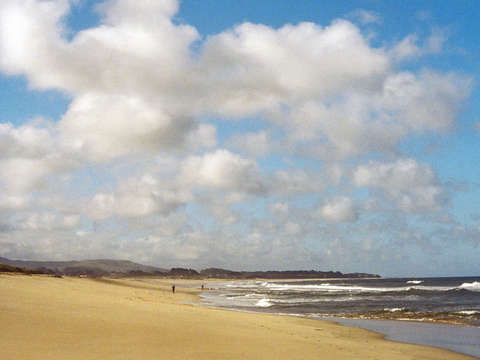Half moon bay beach