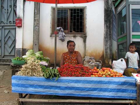 Supporting Her Family