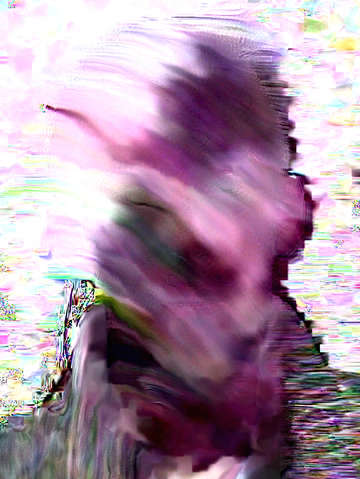 Brandon