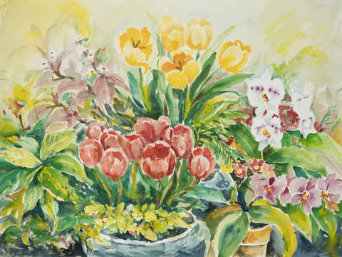 Tulips ii