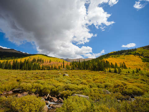 Alpine fall valley