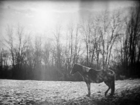 Sun rise on the farm