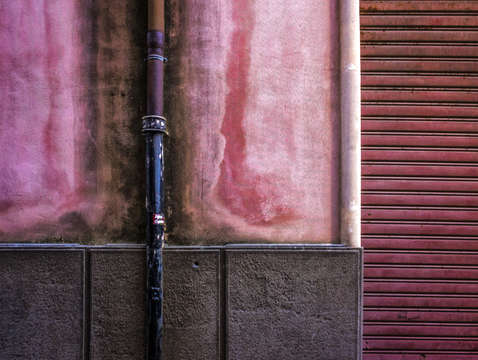 Ortigia pink