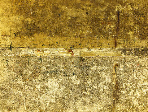 Venice muro