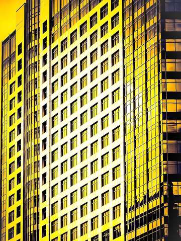 Yellow 8