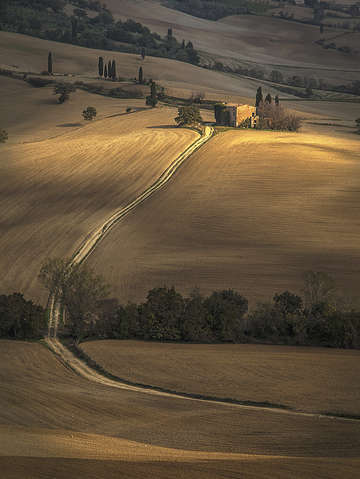 Looking toward pienza
