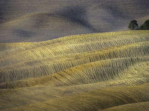 Val dorcia november