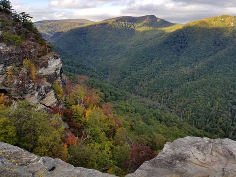 Linville wilderness