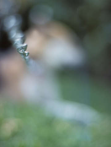 Blur 2