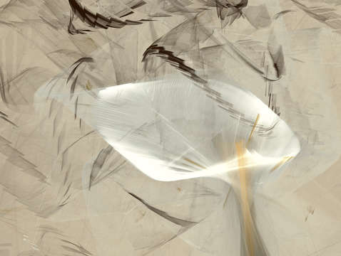 Leaves 10792