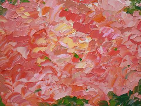 Ithaca-hibiscus