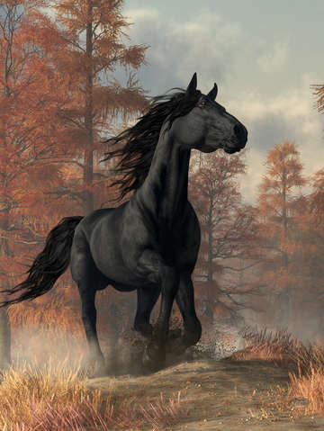 Halloween horse