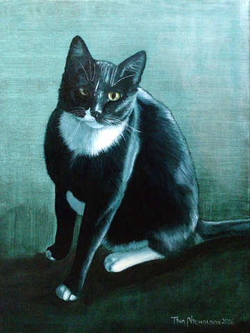 George the tuxedo cat