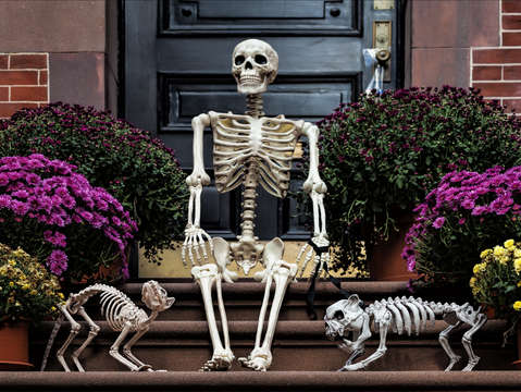 Halloween scenenyc