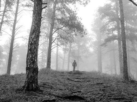 Boy in the fog