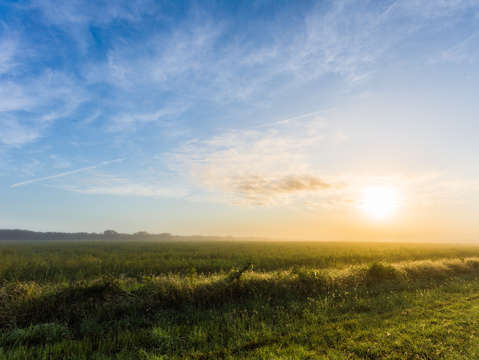 Hazy texas sunrise