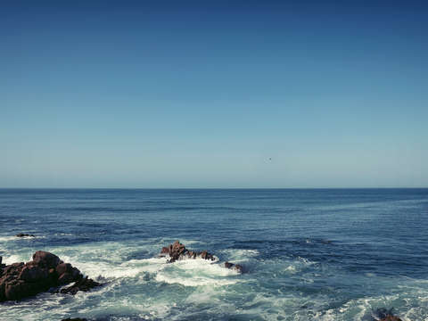 Flow as life