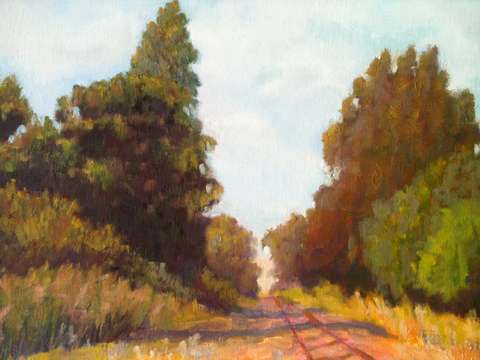 American Canyon Summer