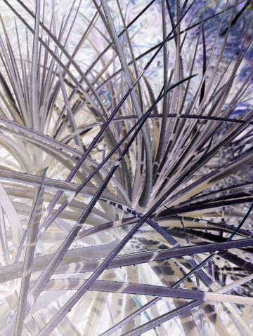 Purple desert 03114