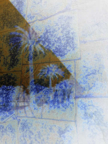 Blue palms 03280