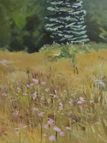 Cape cod meadow