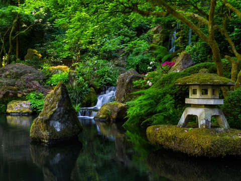 Japanese garden 2