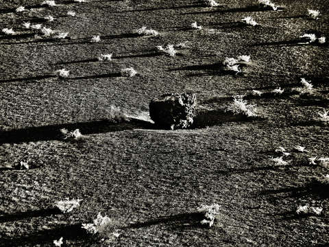 Army of one