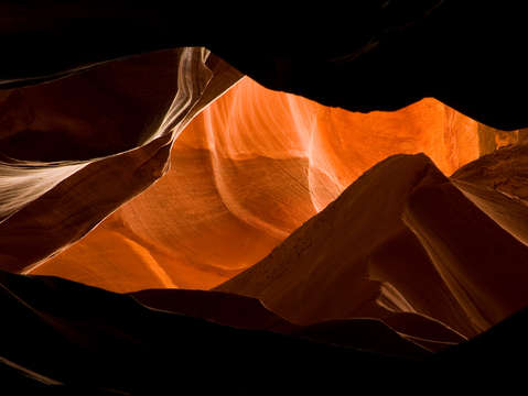 Antelope no 2