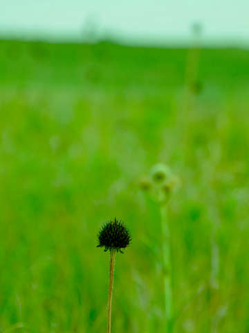 Solitude-2