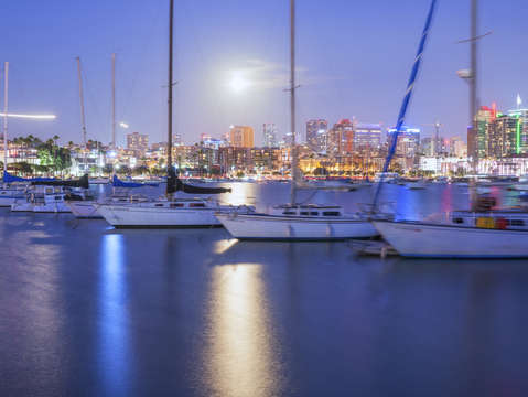 Harbor bright