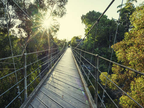 Bridge in the city 2