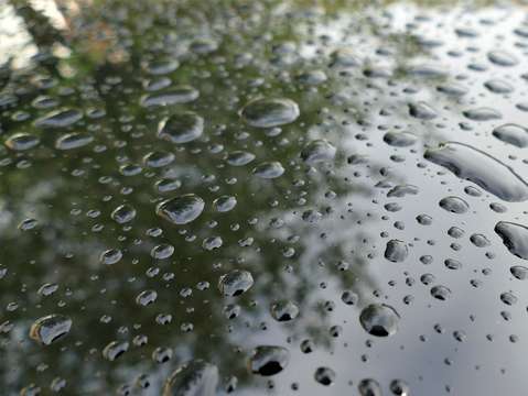 Trees and drops