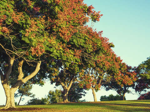 Fall colors 3