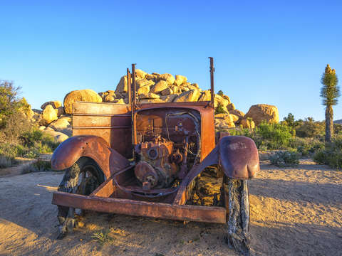 Old timer 2