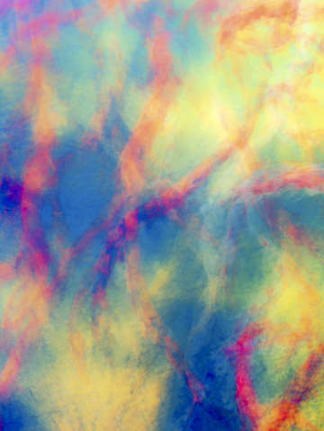 Abstract koi 2