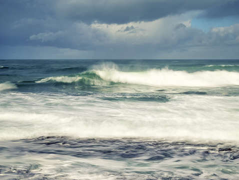 Coastal winter